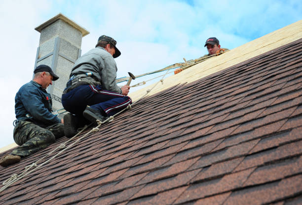 Roof Gutter Cleaning in Lorenzo, TX